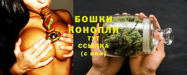Альфа ПВП Медногорск