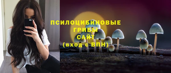 Альфа ПВП Медногорск