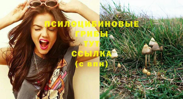 амф Мегион