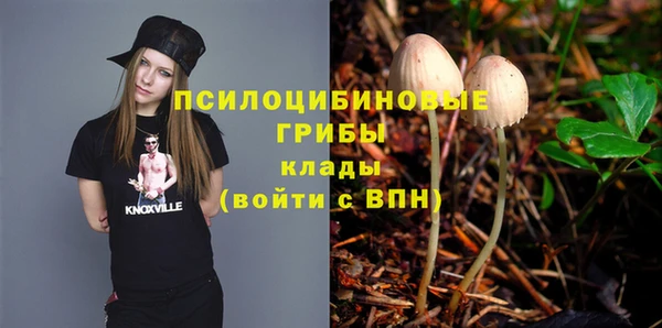 Альфа ПВП Медногорск