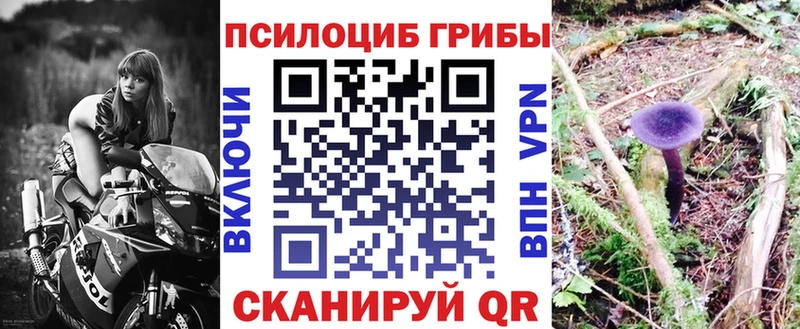 Галлюциногенные грибы мицелий  где можно купить наркотик  нарко площадка состав  Приморско-Ахтарск 